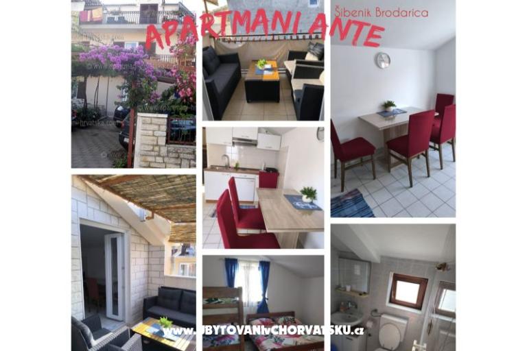 Apartments Ante – photo 14