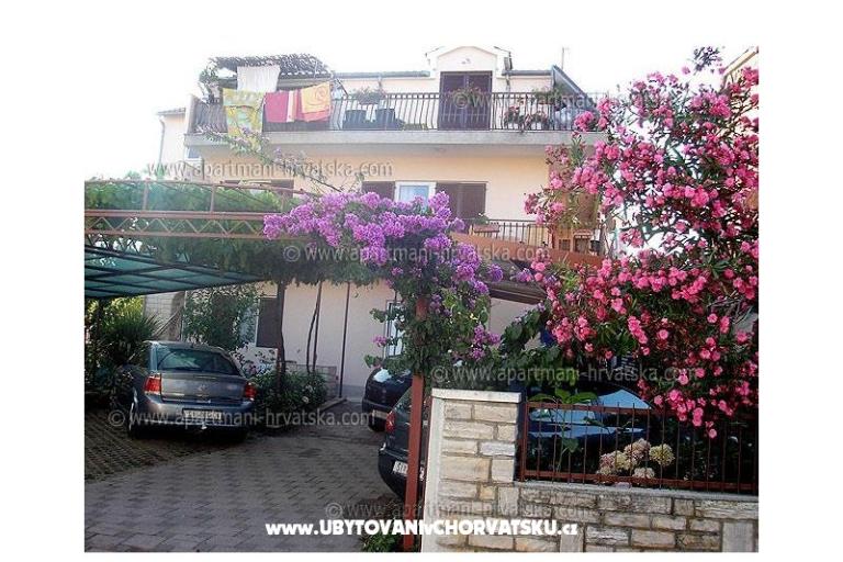 Apartments Ante – photo 4