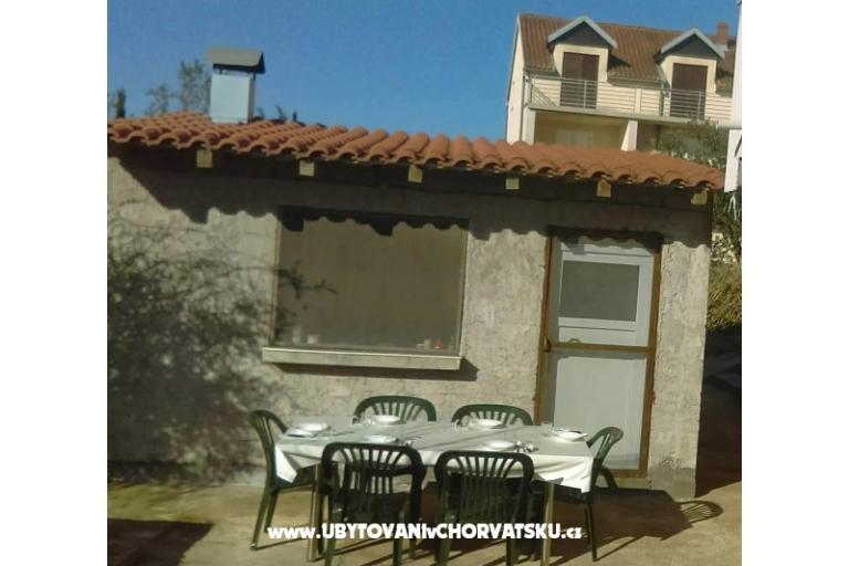 Dalmatian – photo 2