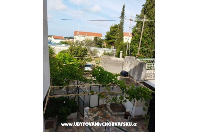 Konrad  – photo 16