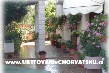 Pension Villa Daniela – photo 7