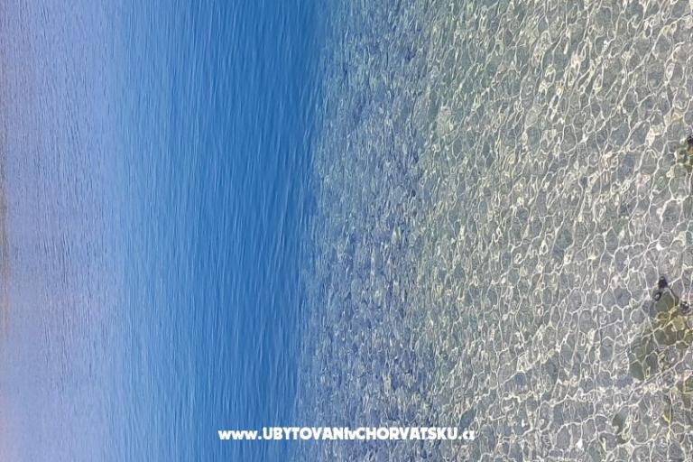 Sun Terrace – photo 13