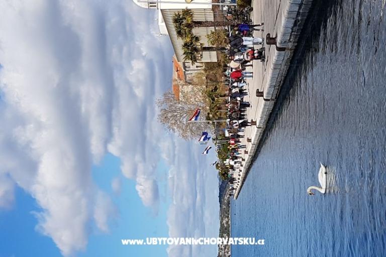 Sun Terrace – photo 15