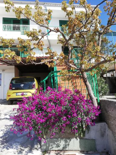 Sun Terrace – photo 7