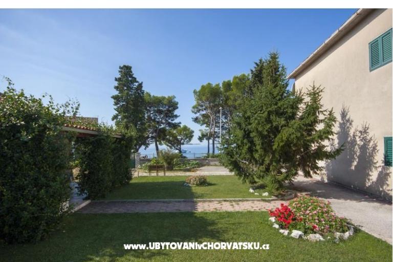 Venesa Apartments – photo 2