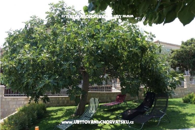 Villa Cilic  – photo 12