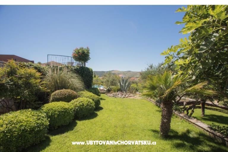 Villa Oliva Žaborić – photo 17