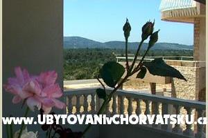 Villa Plavi biser – photo 17