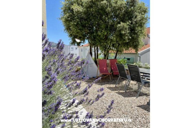 Villa Salvia Adriatica – photo 23