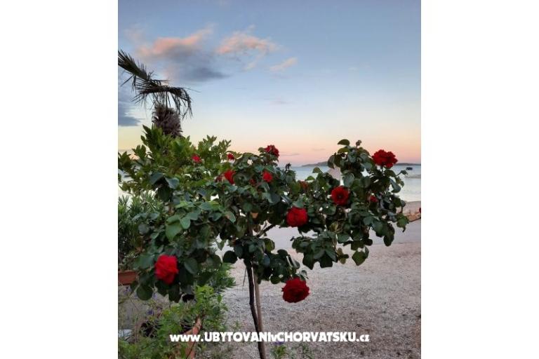 Villa Seaside Žaborić – photo 21