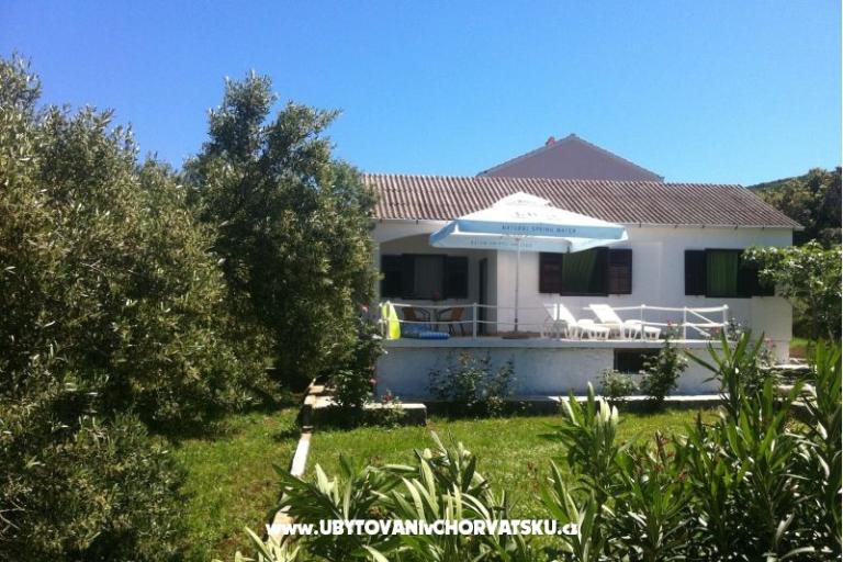 Seaview villa – photo 14