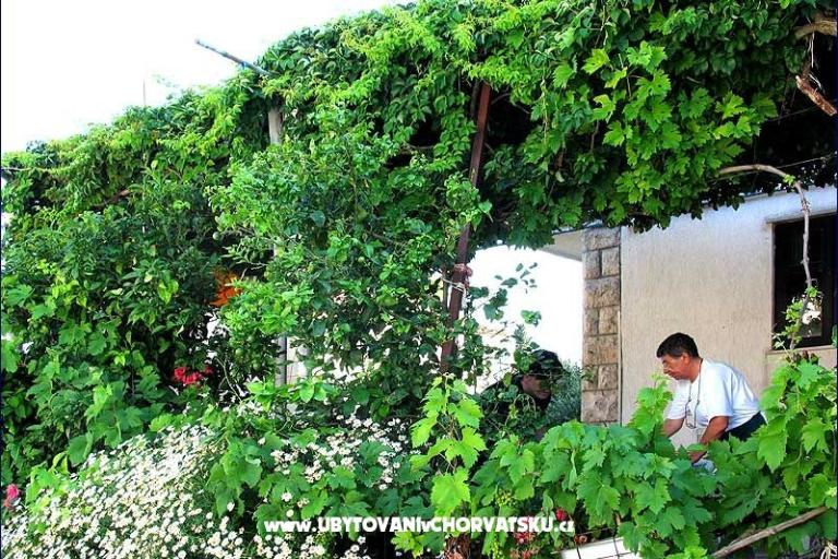 Pension Lobrović – photo 8