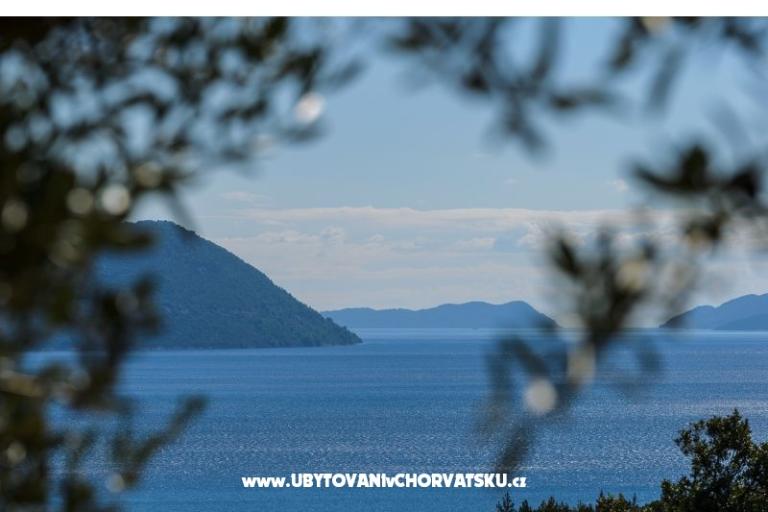 Pension Sunce – photo 15