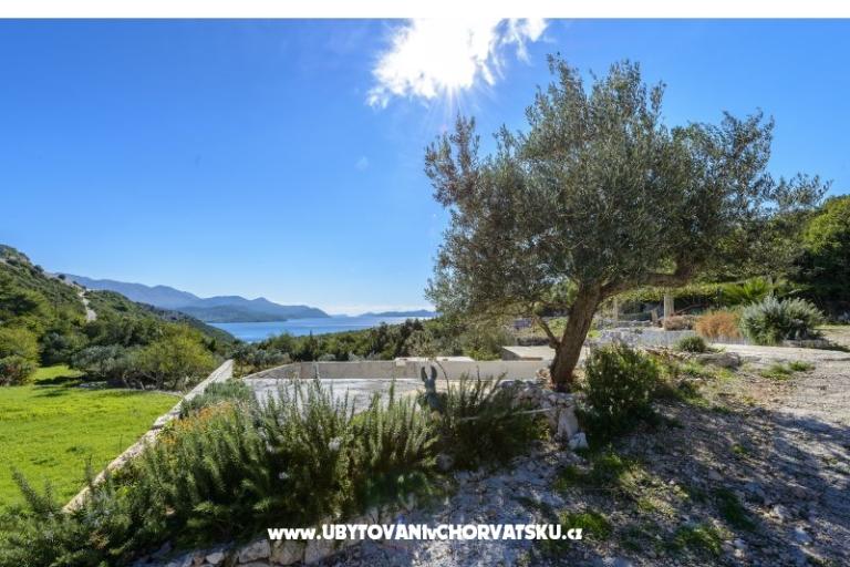 Pension Sunce – photo 5