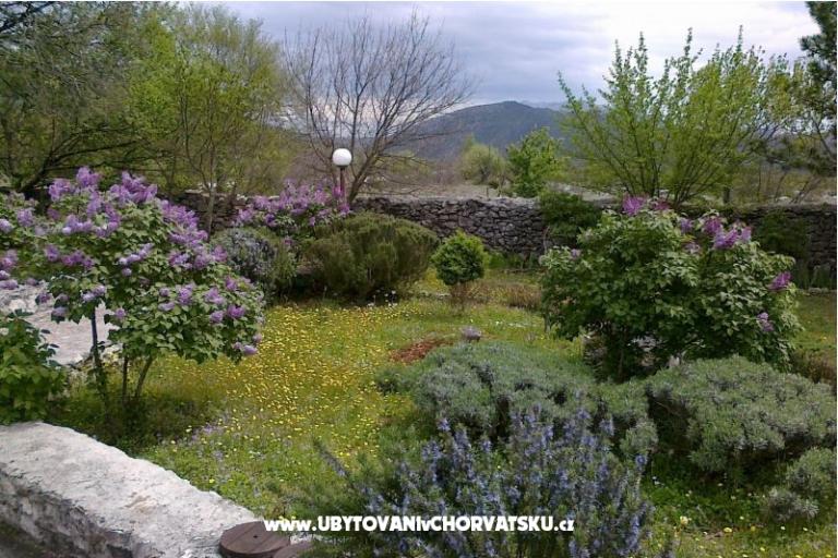 Vacation house Villa Ivo – photo 10