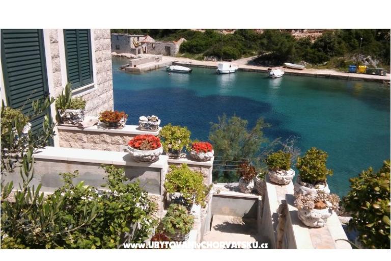 Apartments Nikola – photo 3