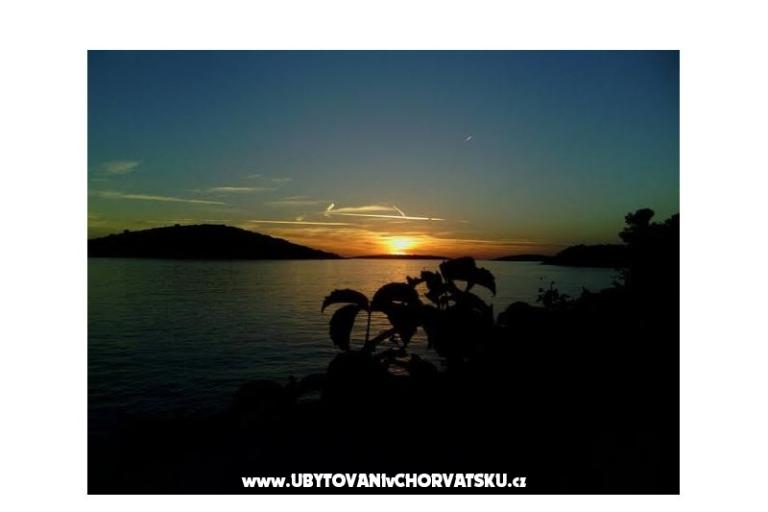 Apartments Oliva - Otok Šolta – photo 14