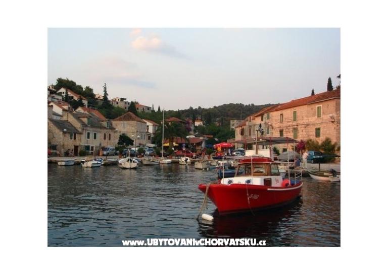 Apartments Oliva - Otok Šolta – photo 9