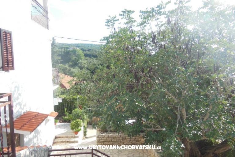 Apartments Petra – photo 4