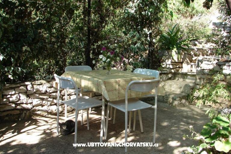 Apartment Terezija – photo 3