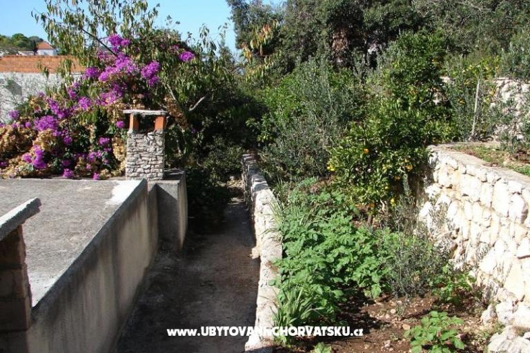 Apartment Terezija – photo 6