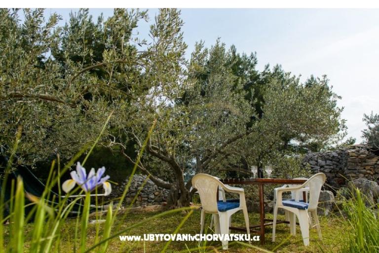Vacation house Villa Ante – photo 8