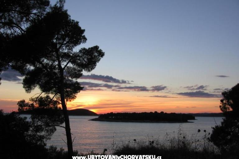 Apartments Oliva  – photo 10