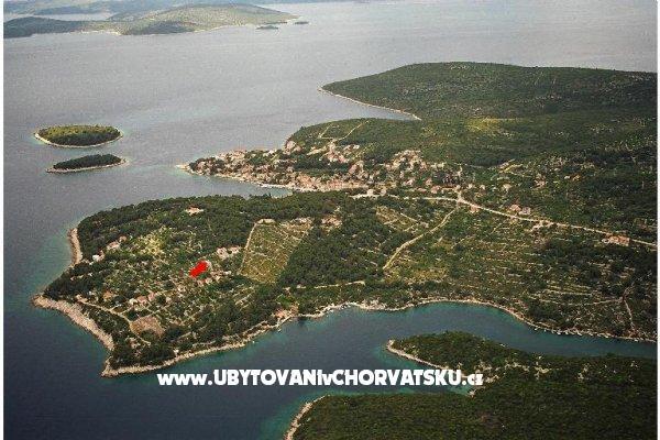 Apartments Oliva  – photo 7