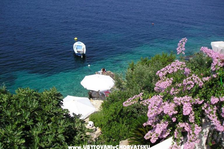 Villa Nell – photo 2