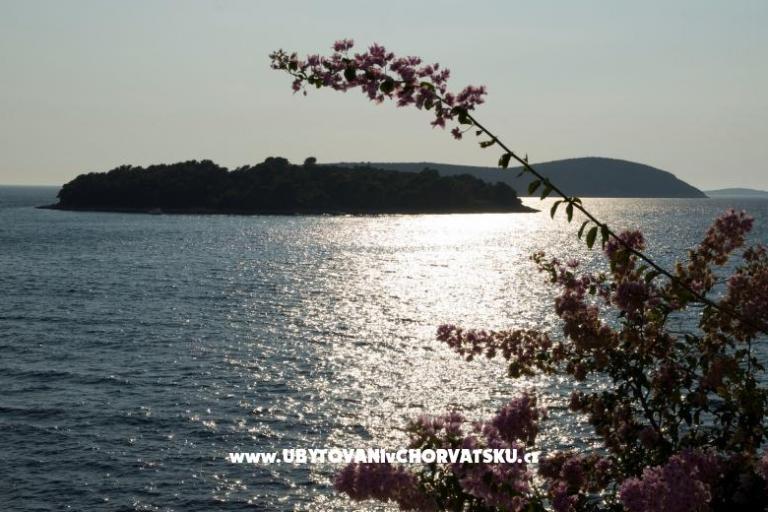 Villa Nell – photo 7