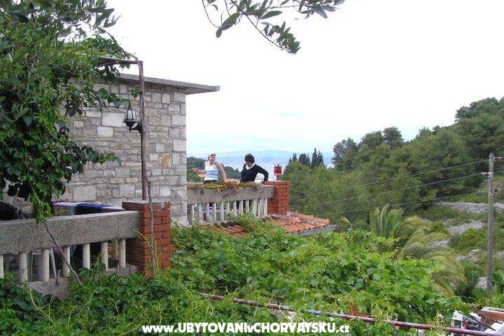 Villa Palmira – photo 3