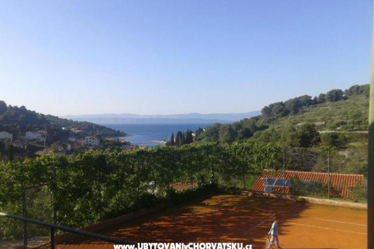 Villa Palmira – photo 4