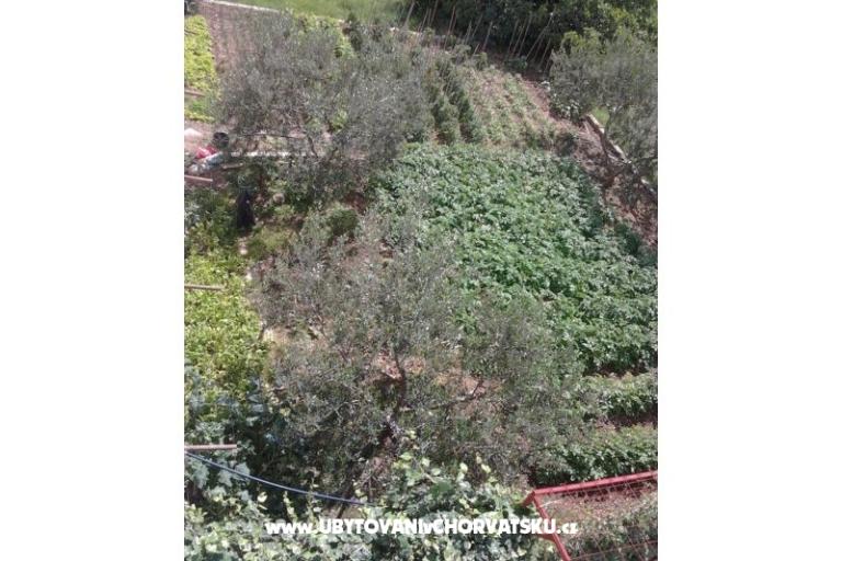 ADRIATIQ Apartments – photo 16