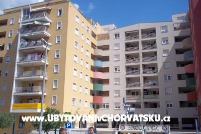 Apartment Ase – photo 4