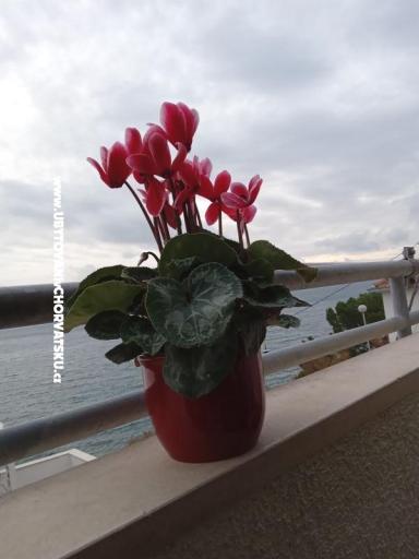 Apartment Jagoda – photo 23