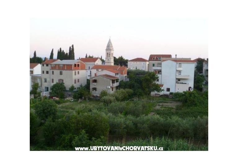 Apartments Jelena  – photo 3