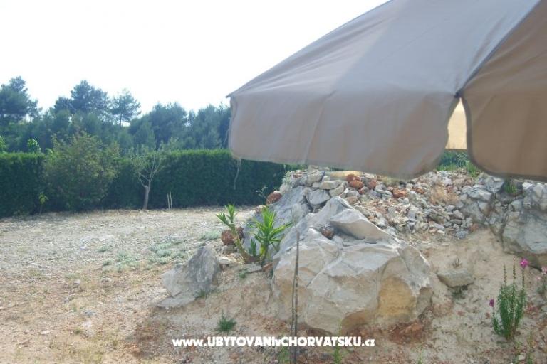 Apartments ELI – photo 4