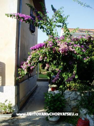 Apartment Nevica – photo 16