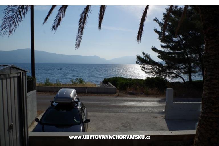 Big Blue – photo 12