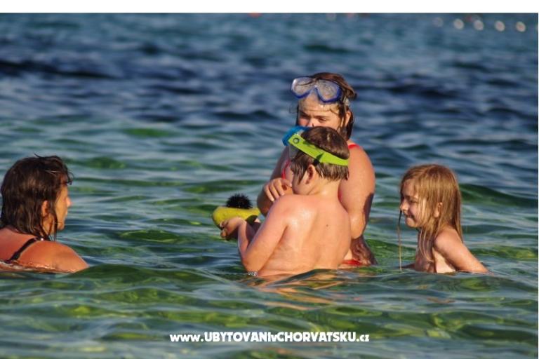 Big Blue – photo 18