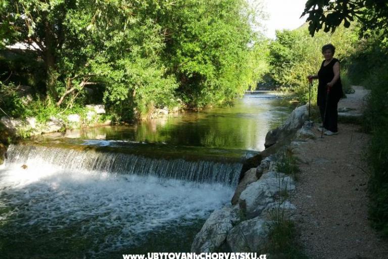 Whole house & garden only for you – photo 13