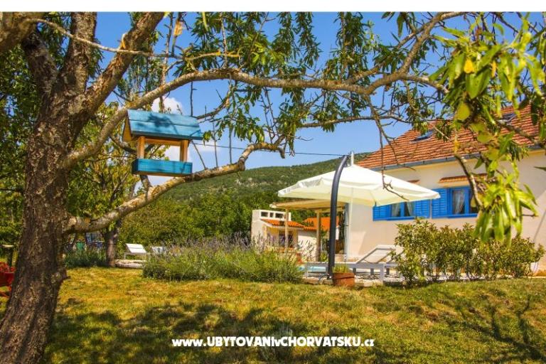 Villa Romansa- 22 km from Split – photo 4