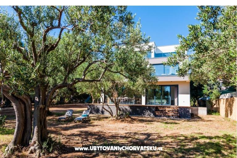 Punta Aqua – photo 5