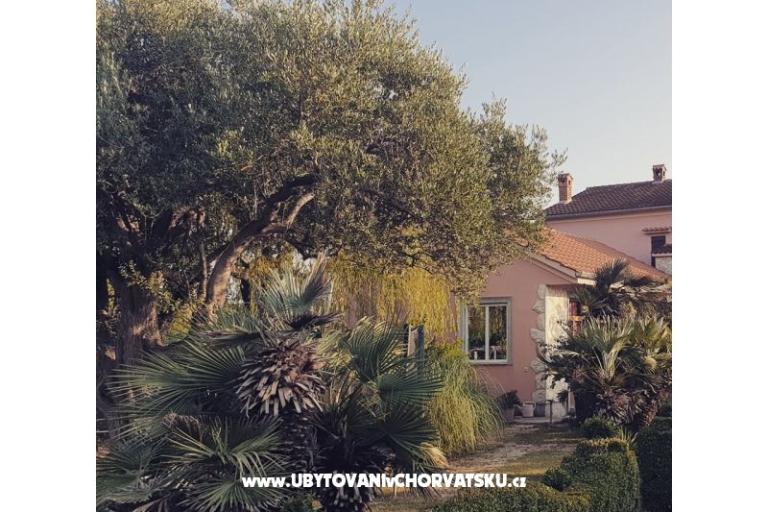 Apartments DARIO - Sukošan – photo 77
