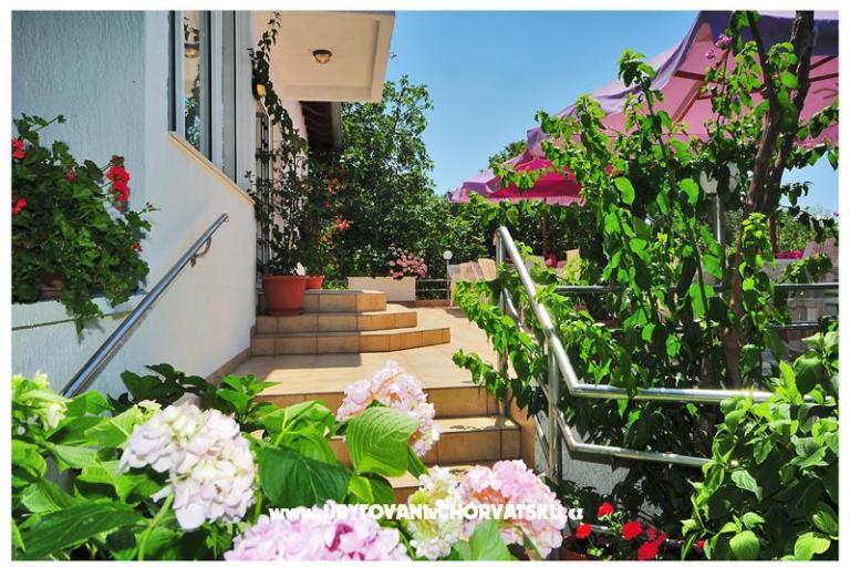 Apartments Ero  – photo 10