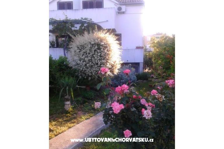 Apartments Tamara – photo 18