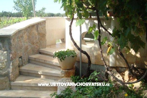 Apartments Petra – photo 9