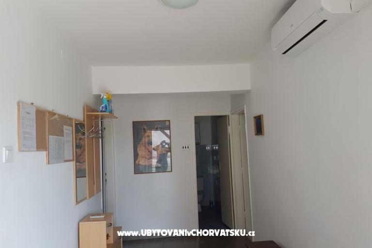 Kuča Gabriela – photo 14