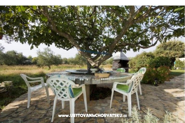Villa Laura – photo 4