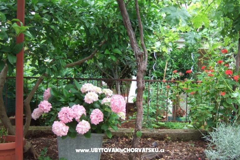 Apartment Lenka – photo 7